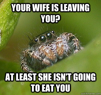 your wife is leaving you? At least she isn't going to eat you  Misunderstood Spider