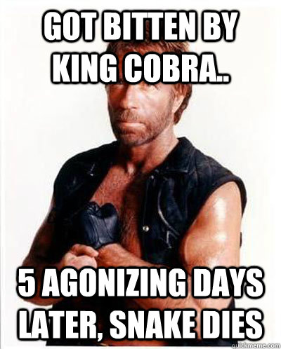 Got bitten by King Cobra.. 5 Agonizing days later, Snake dies  - Got bitten by King Cobra.. 5 Agonizing days later, Snake dies   Anti-Chuck Norris Facts
