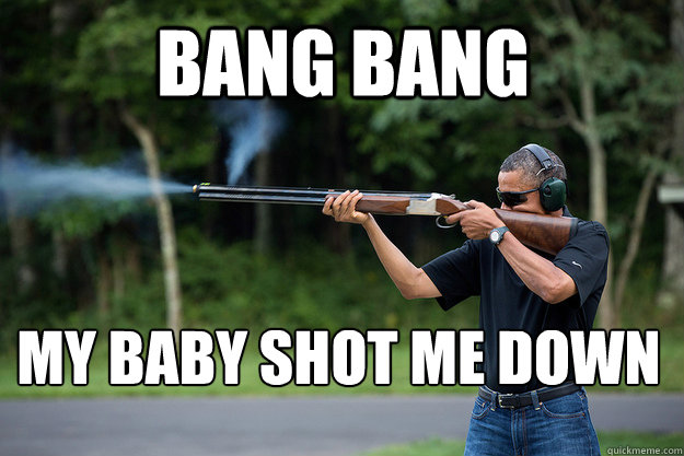 Bang Bang my baby shot me down
  Obamas Got A Gun