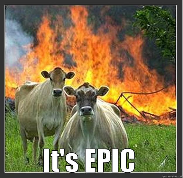  IT'S EPIC Evil cows