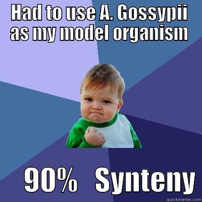 HAD TO USE A. GOSSYPII AS MY MODEL ORGANISM      90%   SYNTENY Success Kid