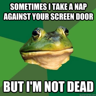 Sometimes I take a nap against your Screen Door But I'm not dead  Foul Bachelor Frog