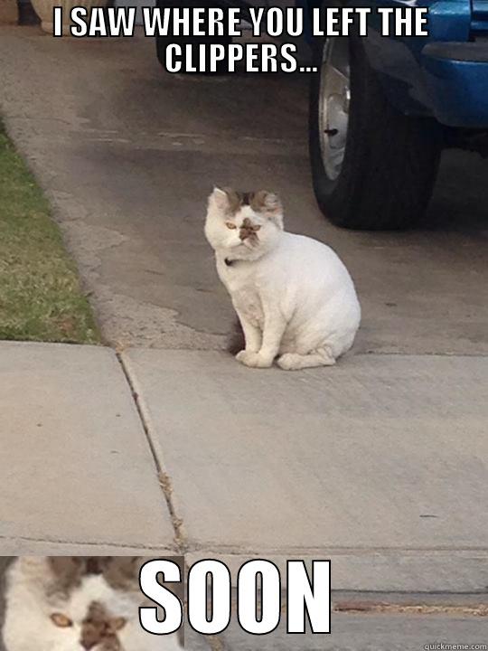 I SAW WHERE YOU LEFT THE CLIPPERS... SOON Misc