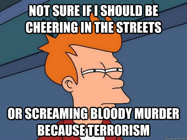 not sure if i should be cheering in the streets or screaming bloody murder because terrorism  Not sure Fry