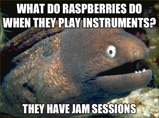 What do raspberries do when they play instruments? They have jam sessions  Bad Joke Eel