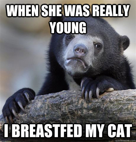 When she was really young I breastfed my cat - When she was really young I breastfed my cat  Confession Bear