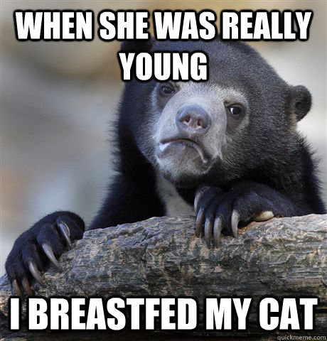 When she was really young I breastfed my cat  Confession Bear