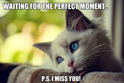 Waiting for the perfect moment.. P.S. I MISS YOU!  First World Problems Cat