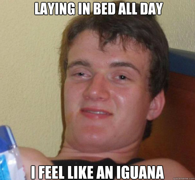 laying in bed all day I feel like an iguana - laying in bed all day I feel like an iguana  ten guy