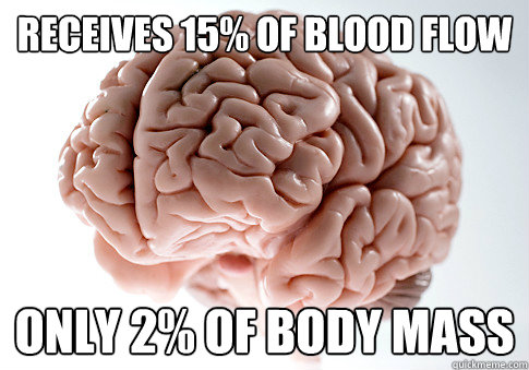 receives 15% of blood flow only 2% of body mass  Scumbag Brain
