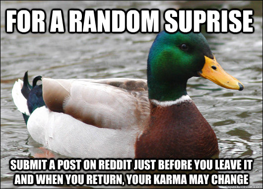 For a random suprise Submit a post on Reddit just before you leave it and when you return, your karma may change  Actual Advice Mallard