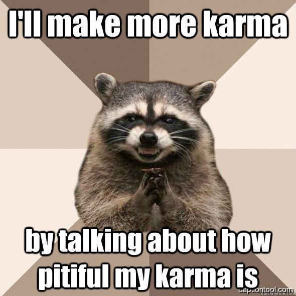 I'll make more karma by talking about how pitiful my karma is  DLI scheming raccoons