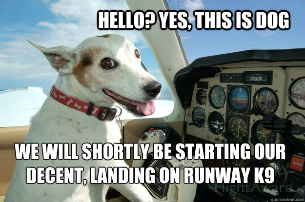 Hello? Yes, this is dog  We will shortly be starting our decent, landing on runway K9  