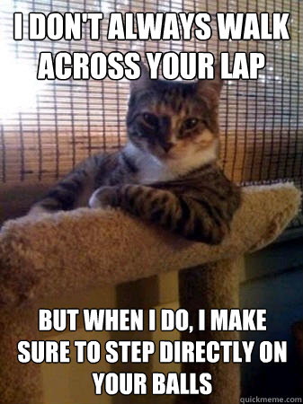 I don't always walk across your lap but when I do, I make sure to step directly on your balls  The Most Interesting Cat in the World