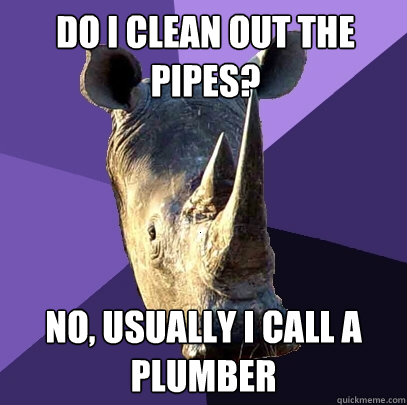 Do I clean out the pipes? No, usually I call a Plumber  Sexually Oblivious Rhino