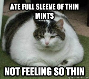 Ate full sleeve of thin mints not feeling so thin  