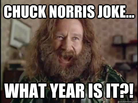 Chuck norris joke... WHAT YEAR IS IT?! - Chuck norris joke... WHAT YEAR IS IT?!  Jumanji