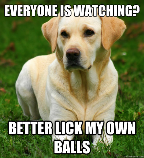 everyone is watching? Better lick my own balls  Dog Logic