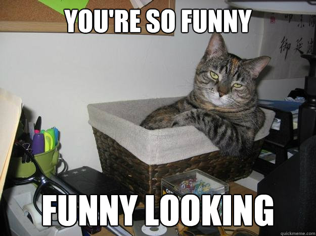 you're so funny funny looking - you're so funny funny looking  Caustic Cat