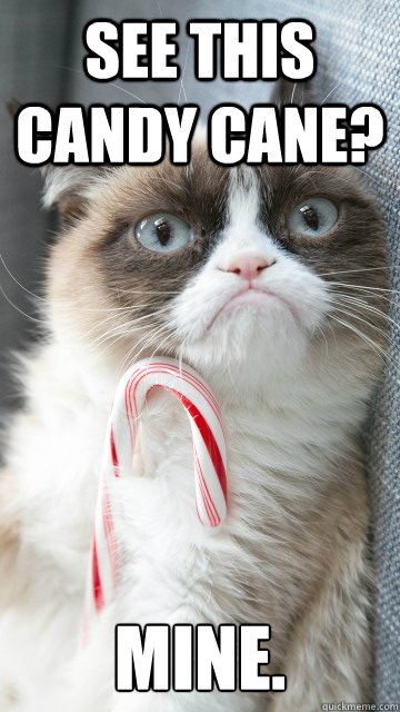 See this candy Cane? mine. - See this candy Cane? mine.  Candy cane grumpy cat