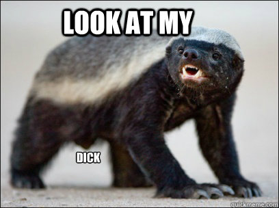 Look at my Dick  