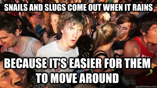 Snails and slugs come out when it rains because it's easier for them to move around  Sudden Clarity Clarence