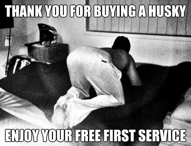 thank you for buying a husky enjoy your free first service  
