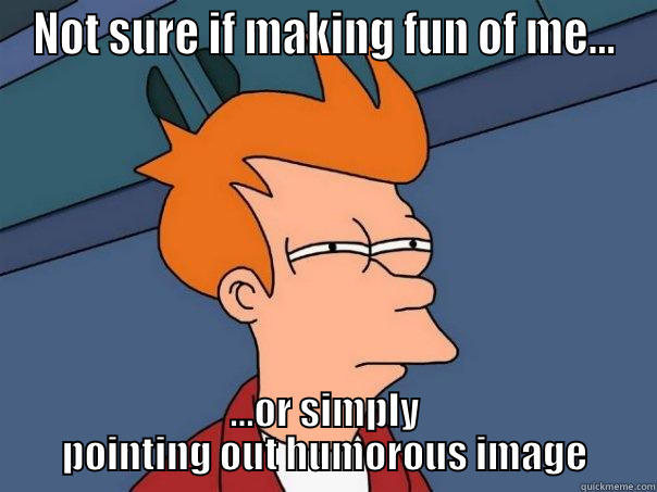 NOT SURE IF MAKING FUN OF ME... ...OR SIMPLY POINTING OUT HUMOROUS IMAGE Futurama Fry
