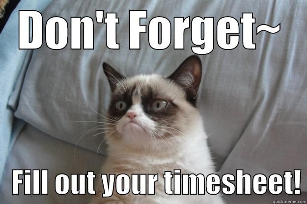 Grumpy Cat Timesheet Reminder. - DON'T FORGET~    FILL OUT YOUR TIMESHEET! Grumpy Cat