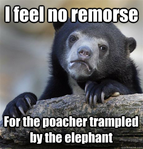 I feel no remorse  For the poacher trampled by the elephant  Confession Bear