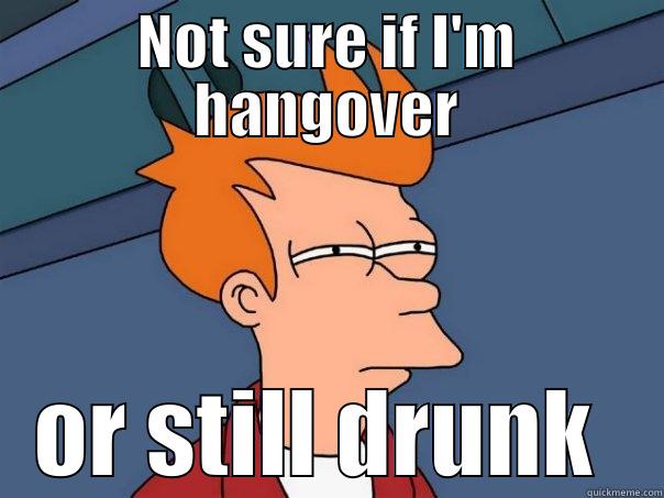 Not sure if I'm hangover - NOT SURE IF I'M HANGOVER OR STILL DRUNK  Futurama Fry