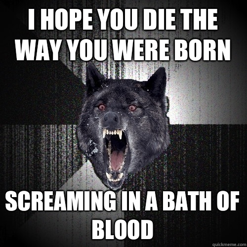 I HOPE YOU DIE THE WAY YOU WERE BORN SCREAMING IN A BATH OF BLOOD  Insanity Wolf