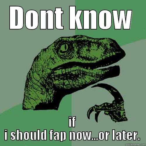 DONT KNOW IF I SHOULD FAP NOW...OR LATER. Philosoraptor