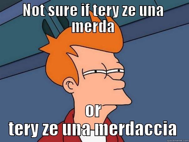 NOT SURE IF TERY ZE UNA MERDA OR TERY ZE UNA MERDACCIA Futurama Fry