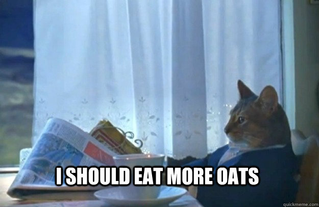 I should eat more oats - I should eat more oats  Sophisticated Cat