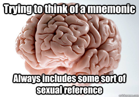 Trying to think of a mnemonic Always includes some sort of sexual reference   Scumbag Brain