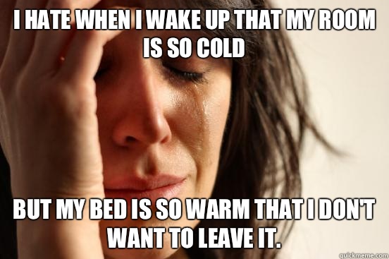I hate when I wake up that my room is so cold But my bed is so warm that I don't want to leave it.  First World Problems