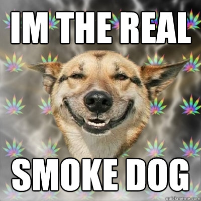 im the real smoke dog   Stoner Dog