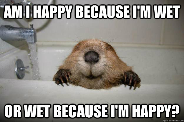 Am I happy because i'm wet or wet because i'm happy? - Am I happy because i'm wet or wet because i'm happy?  Happy Wet Beaver