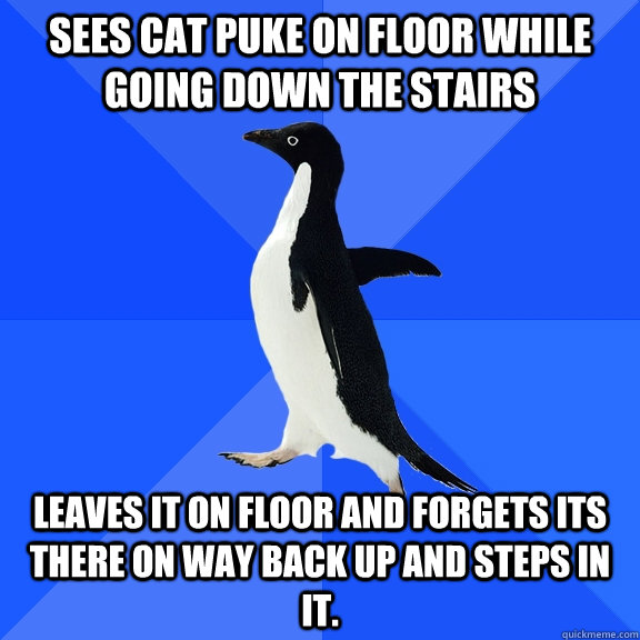 Sees cat puke on floor while going down the stairs Leaves it on floor and forgets its  there on way back up and steps in it.  Socially Awkward Penguin