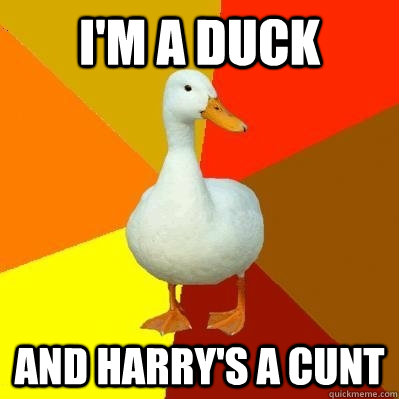 i'm a duck and harry's a cunt  Tech Impaired Duck