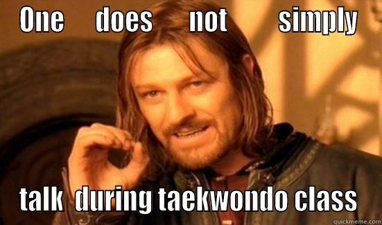 Funny tkd meme - ONE      DOES       NOT          SIMPLY TALK  DURING TAEKWONDO CLASS Boromir