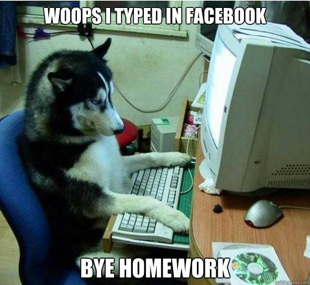 woops I typed in facebook  bye homework   Disapproving Dog