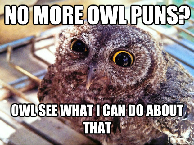 No more owl puns? Owl see what I can do about that - No more owl puns? Owl see what I can do about that  Skeptical Owl