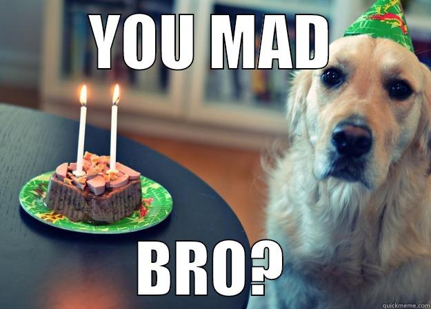 YOU MAD BRO? Sad Birthday Dog