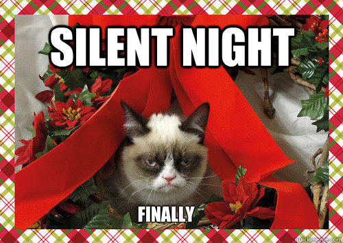 Silent Night Finally  merry christmas