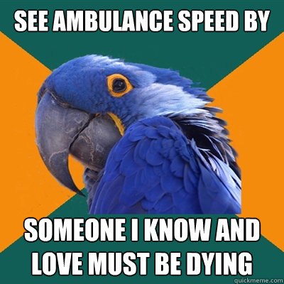 see ambulance speed by someone I know and love must be dying  Paranoid Parrot