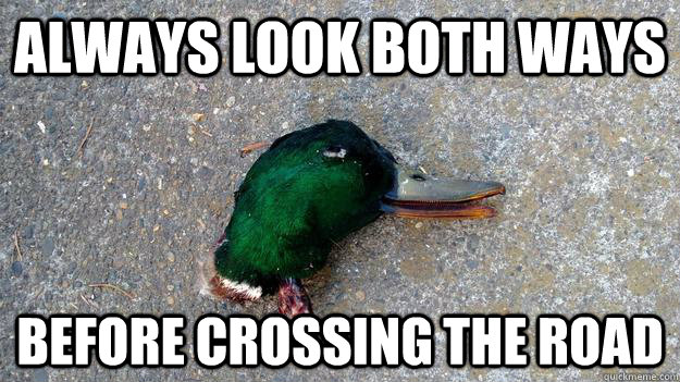 Always look both ways Before Crossing the road  Actual Advice Mallard
