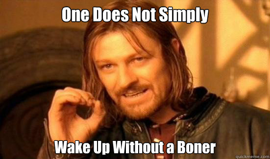 One Does Not Simply Wake Up Without a Boner  Boromir
