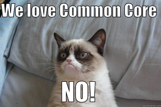 WE LOVE COMMON CORE  NO! Grumpy Cat